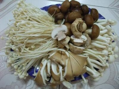 img_sub418_400-300-loi-ich-cua-nam-tuoi-va-cach-bao-quan-7059