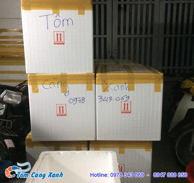 tom-cang-xanh-sp-42.jpg