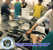 tom-cang-xanh-web-90